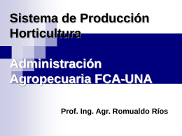 Sistema de Producción Horticultura Administración Agropecuaria