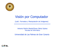 Format - Universidad de Las Palmas de Gran Canaria