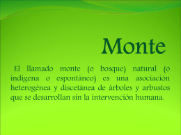 Presentacion Ambiente -Monte