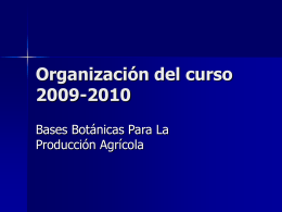Organización del curso 2005-2006