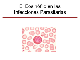 20_El_Eosinofilo_en_las_Infecciones_Parasitarias