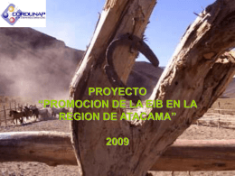 proyecto “promocion de la eib en la region de atacama”