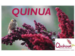 01.- cultivo quinua