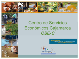 Centro de Servicios Económicos Cajamarca CSE-C