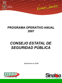 Programa Operativo Anual 2007 (POA)