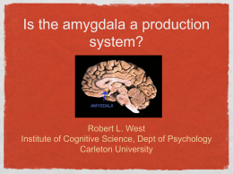 Is the amygdala a production system? - ACT-R