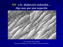 NO a la Disfunción Endotelial Dr. Armando Rojas Rubio