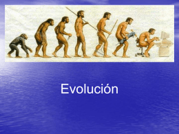 evolución