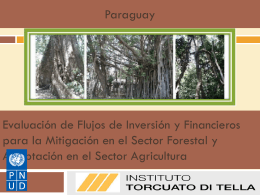 SECTOR FORESTAL