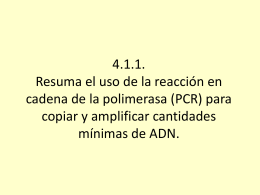 Resuma el uso de la reacción en cadena de la polimerasa (PCR