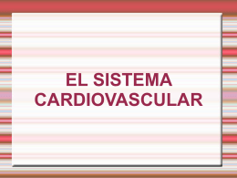 Sist cardiovascular