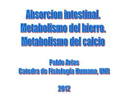 Metabolismo del Hierro y el Calcio. - fisiologia