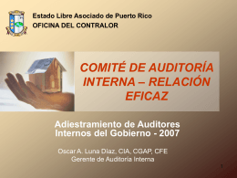 Adiestramiento de Auditores Internos del Gobierno 2007
