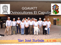 GGAVATT Ovinocultores El Capulín San José Iturbide