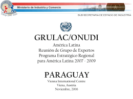 ONUDI en Paraguay