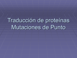 Traducción de proteínas Mutaciones de Punto