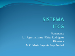 PRESENTACION ITCG 170112