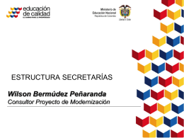 Wilson Bermúdez Peñaranda Consultor Proyecto de Modernización