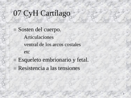 07 CyH Cartílago