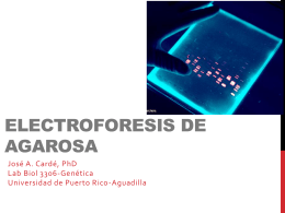 Lab_11_Electroforesis_Agarosa