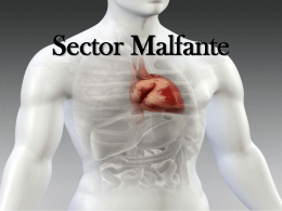 Sector Malfante Caso Clinico
