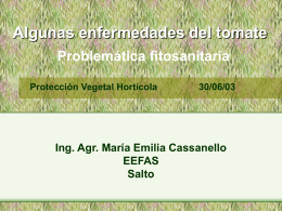 Algunas enfermedades del tomate Ing. Agr. María Emilia Cassanello