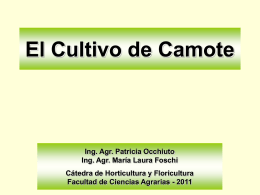Diapositiva 1 - Campus Virtual Facultad de Ciencias Agrarias