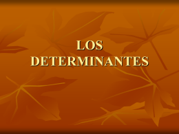 LOS DETERMINANTES (107520)