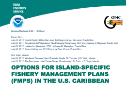 options for island-specific fishery management plans (fmps) in the us