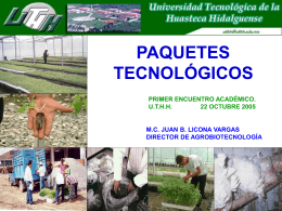 Paquetes tecnológicos - Universidad Tecnológica de la Huasteca