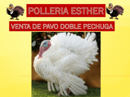 Diapositiva 1 - Polleria Esther Oficial