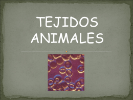 Tejidos animales - Material Curricular Libre