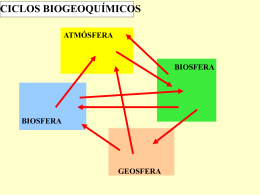 ecología: ciclo biogeoquímicos - IES Salvador Serrano (Alcaudete)