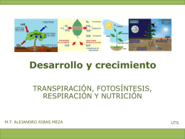 transpiración y fotosintesis