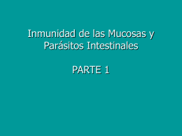 16_Inmunidad_de_Mucosas_Generalidades