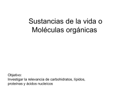Moléculas orgánica..