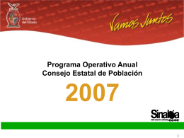 Programa Operativo Anual del 2007