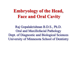 Head and Neck ppt