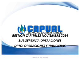 Informe Gestión de Capital Nov. 2014