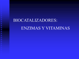 enzimas y vitaminas - ies hoces del duratón