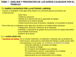 Tema 7 - Análisis y prevención de los daños