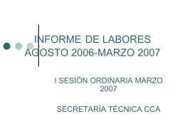 INFORME DE LABORES agosto 2006-marzo 2007