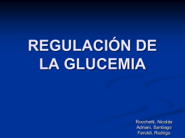 Regulación de la glucemia.