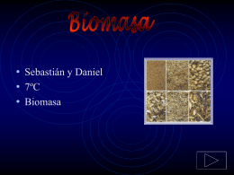 ¿Qué es biomasa?