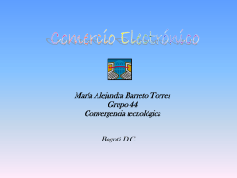comercio electrónico - COMERCIO ELECTRONICO 2010