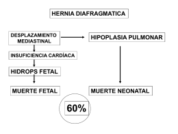 Diapositiva 1 - Dr. Fernando L. Heinen