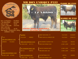 P322 - Ranchos Colorado y Don Enrique