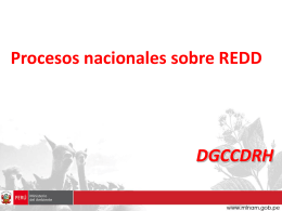 Diapositiva 1 - Grupo Redd Perú