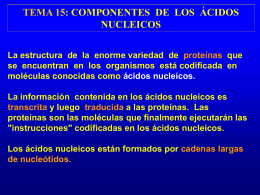 TEMA 15: COMPONENTES DE LOS ÁCIDOS NUCLEICOS La