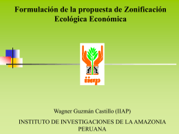 11. zonificación socioeconómica de la amazonía peruana